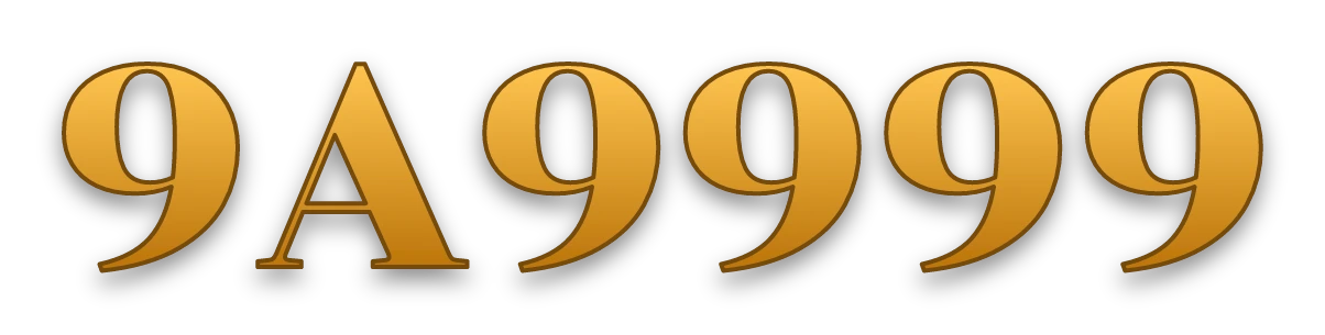 9A9999 logo